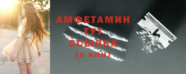 молекула духа Михайлов