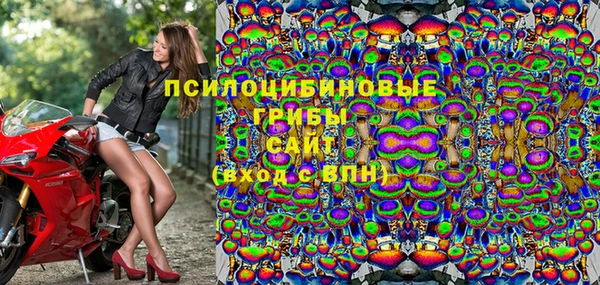 молекула духа Михайлов