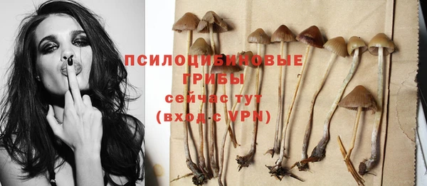 дурь Михайловка