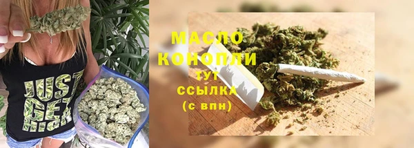 молекула духа Михайлов