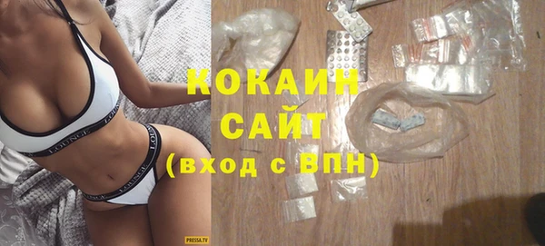 молекула духа Михайлов