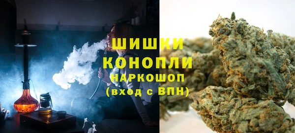 молекула духа Михайлов
