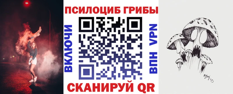 что такое наркотик  Порхов  Галлюциногенные грибы MAGIC MUSHROOMS 